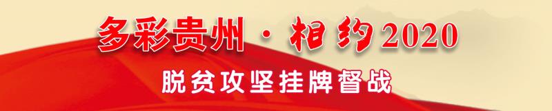 致富经生态鸡_致富经养殖鸡视频_2019年致富经养鸡视频