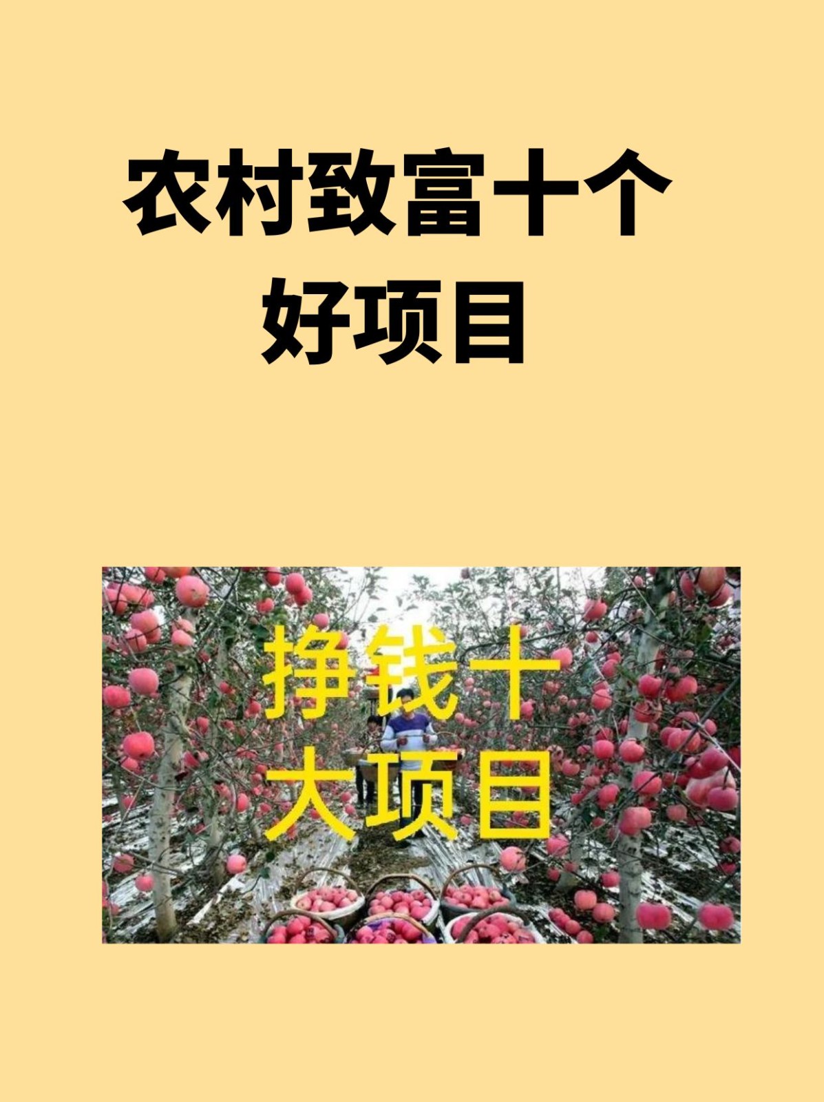 致富种植大型项目是什么_大型种植致富项目_种植致富新项目