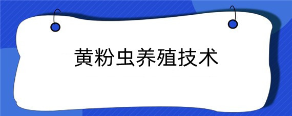 黄粉虫养殖技术