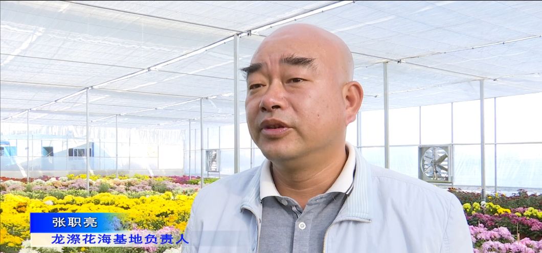 种花致富经_致富经花卉创业_花木种植 带动致富