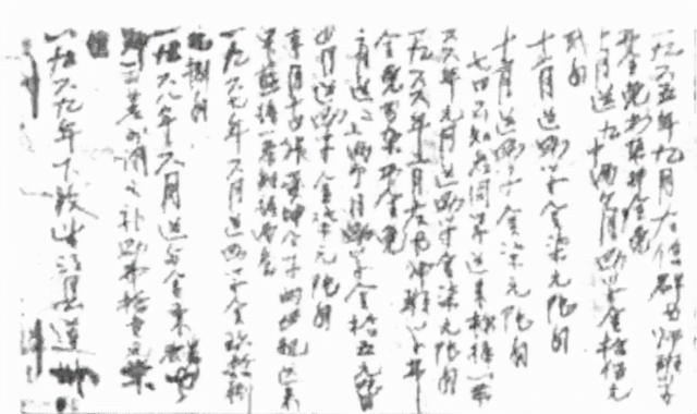 新闻致富种植魔芋视频_种植魔芋致富新闻_新闻致富种植魔芋是真的吗