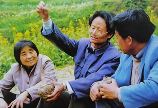 种植魔芋致富新闻_新闻致富种植魔芋视频_新闻致富种植魔芋是真的吗