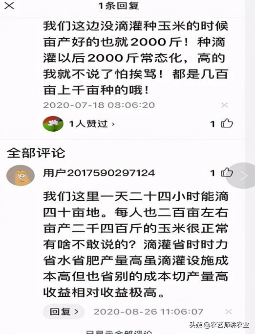 大棚玉米栽培技术_大棚种植玉米技术视频_玉米大棚