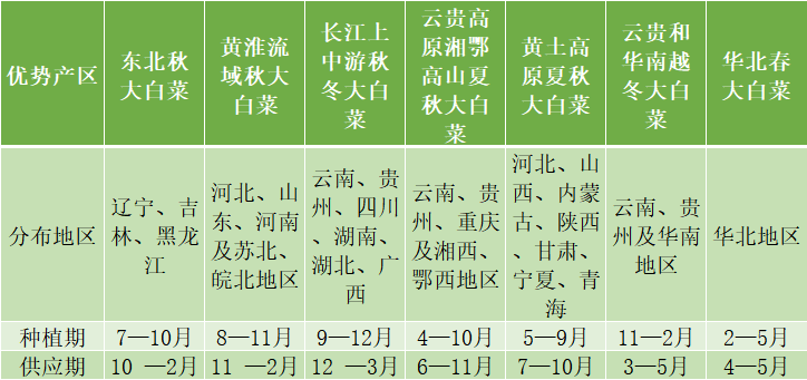 娃娃菜春季种植技术_春季娃娃种植菜技术要点_春季娃娃种植菜技术与管理