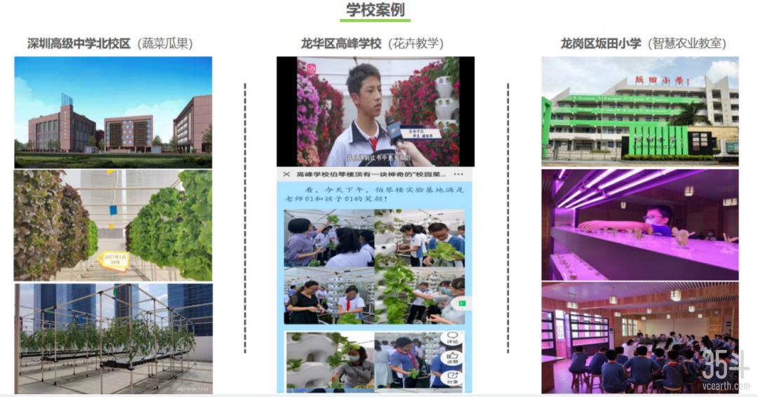 楼顶养殖赚钱_楼顶养殖什么可以致富_农村楼顶适合养殖什么