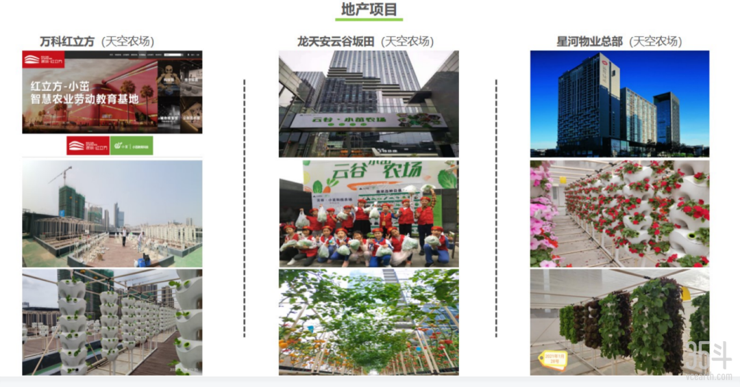 楼顶养殖什么可以致富_楼顶养殖赚钱_农村楼顶适合养殖什么