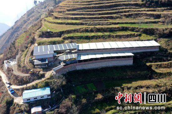 养殖致富经_致富养殖好项目_高效养殖致富项目