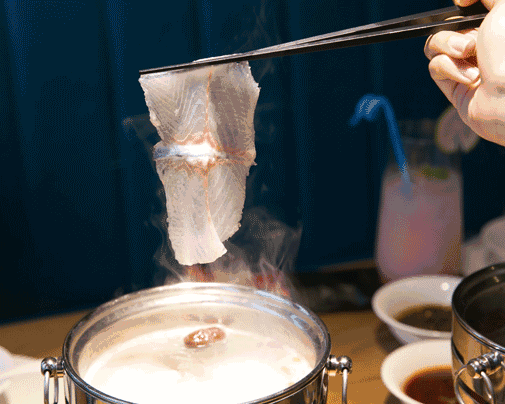 上致富经的河豚品牌_致富经河豚鱼_致富河豚品牌上市时间