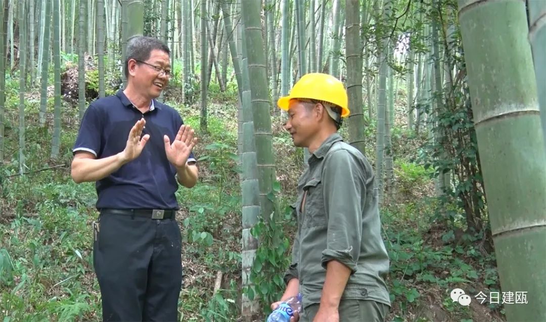 致富经 冬笋_冬笋高产技术_冬笋的价钱