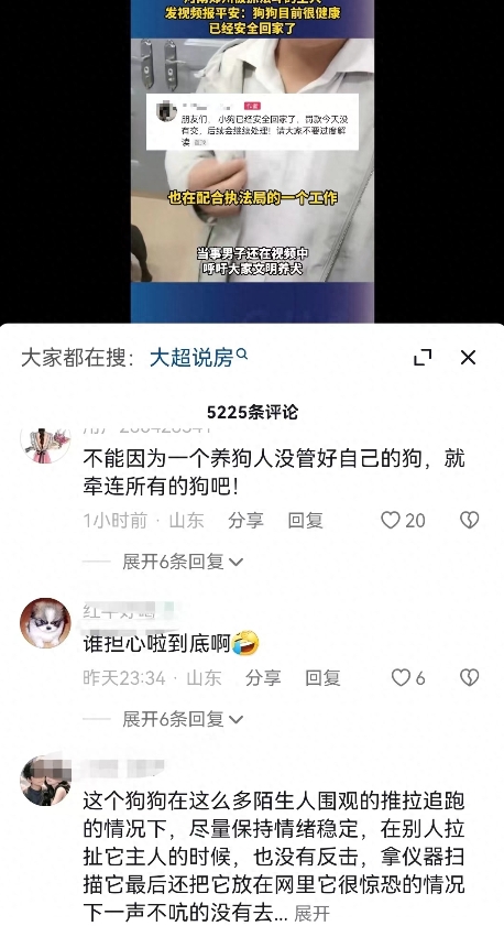 致富经斗犬_致富犬业江西公司地址_致富经斗犬