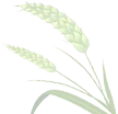 山东寿光种植什么_寿光种植蔬菜的有利条件_寿光种植致富