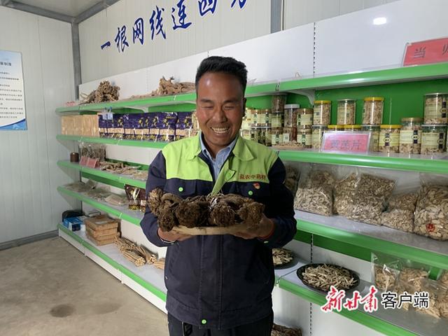 党参种植致富_致富种植党参图片_种植党参的有利条件
