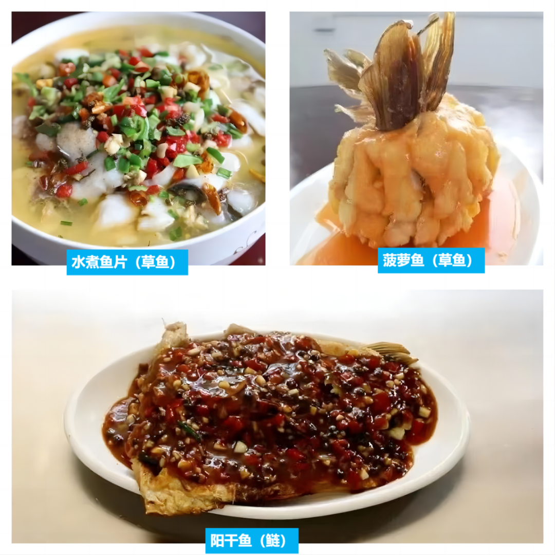 鲤鱼冬天怎么养殖_冬季鲤鱼养殖技术_鲤鱼养殖冬季技术要求