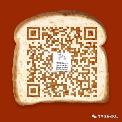 冬季鲤鱼养殖技术_鲤鱼冬天怎么过冬_鲤鱼养殖冬季技术要点