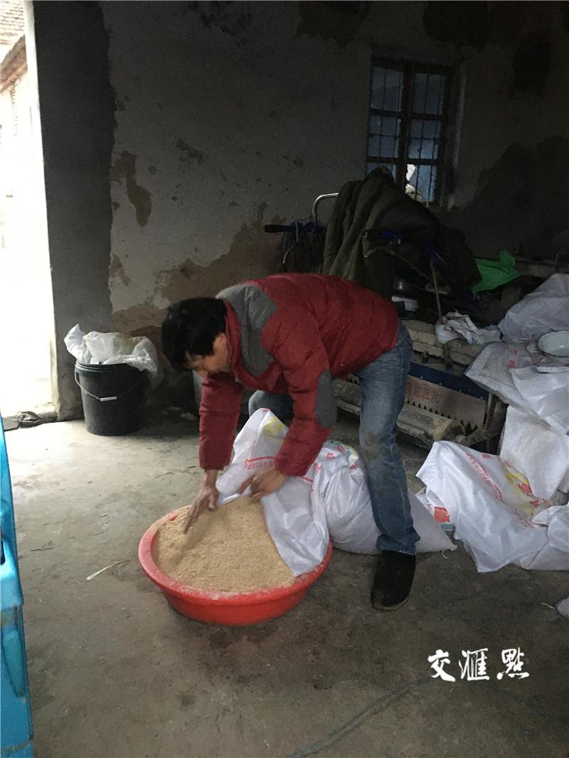 2019年养牛致富经视频_农业节目致富经养牛视频_致富经养牛致富故事视频