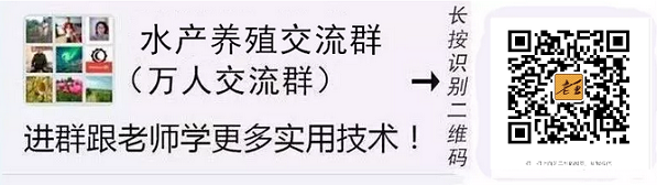 鲤鱼养殖冬季技术要求_鲤鱼冬天怎么过冬_冬季鲤鱼养殖技术