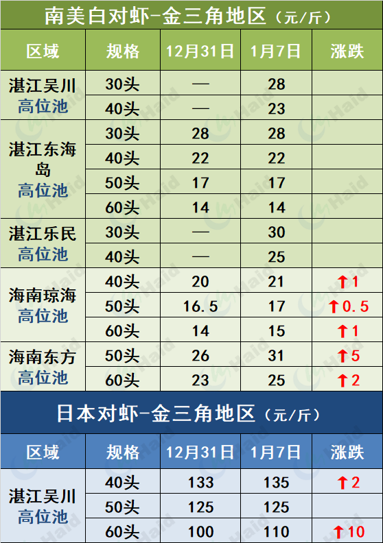 鲤鱼养殖冬季技术要求_冬季鲤鱼养殖技术_鲤鱼冬天怎么过冬