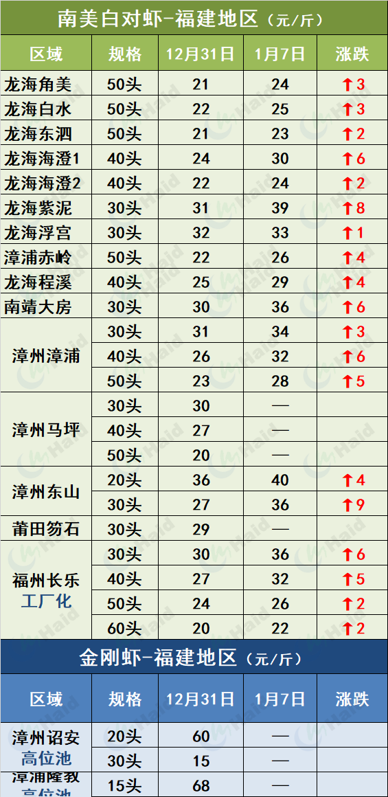 冬季鲤鱼养殖技术_鲤鱼冬天怎么过冬_鲤鱼养殖冬季技术要求