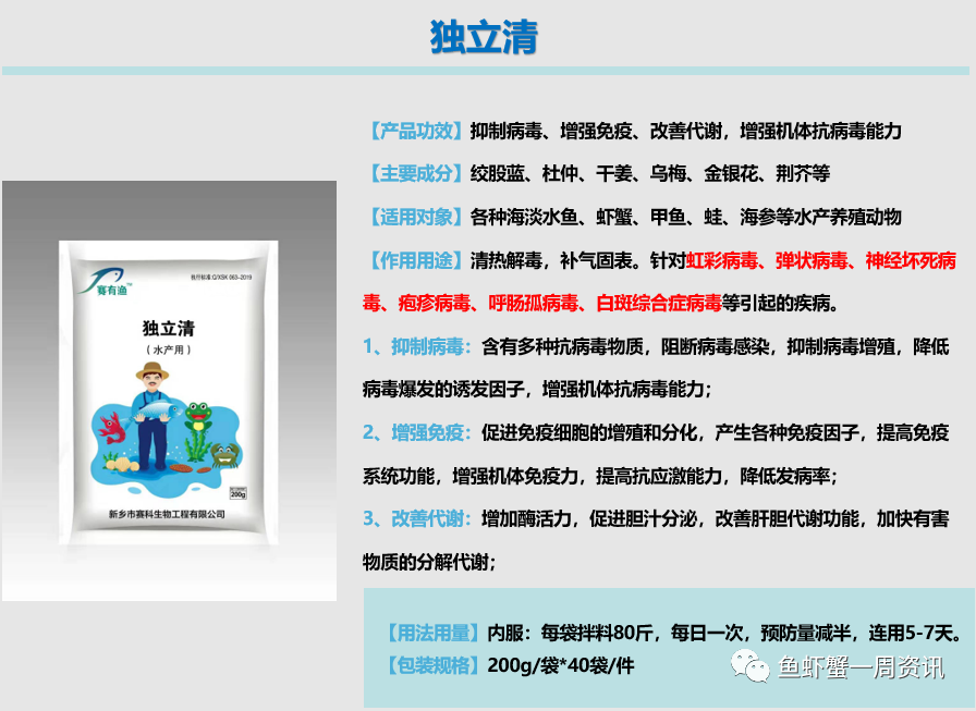 冬季鲤鱼养殖技术_鲤鱼冬天怎么过冬_鲤鱼养殖冬季技术要求