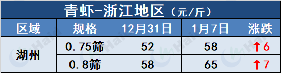 鲤鱼冬天怎么过冬_鲤鱼养殖冬季技术要求_冬季鲤鱼养殖技术