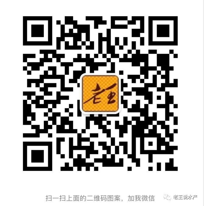 冬季鲤鱼养殖技术_鲤鱼养殖冬季技术要求_鲤鱼冬天怎么过冬