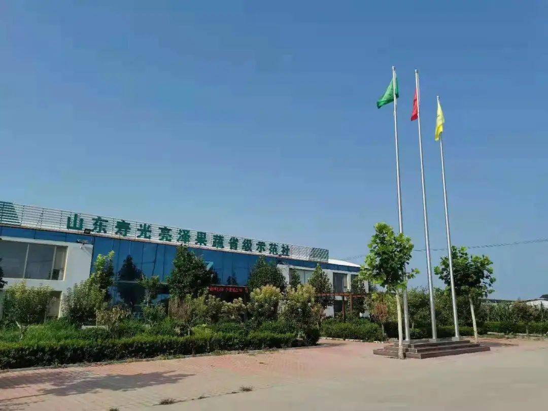 寿光种植什么蔬菜品种_寿光种菜赚钱吗_寿光种植致富