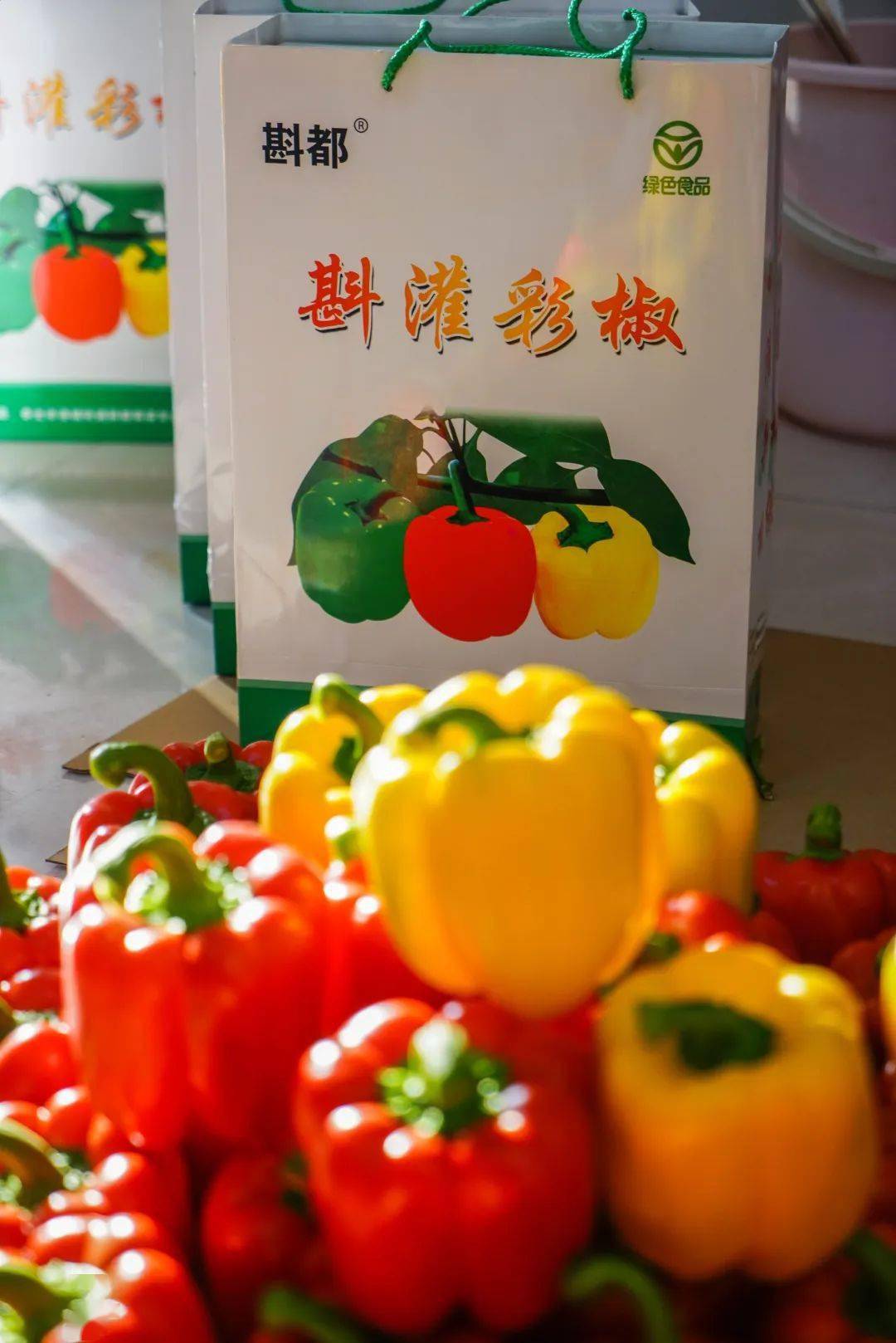 寿光种菜赚钱吗_寿光种植什么蔬菜品种_寿光种植致富