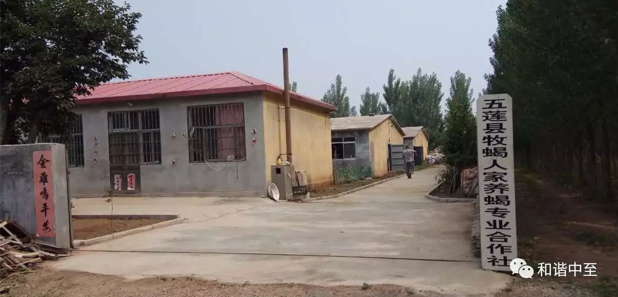 蝎子养殖致富吗_致富蝎子养殖方法_致富蝎子养殖视频