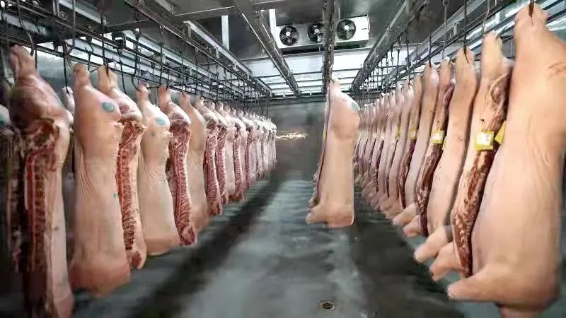 疫情工作经验总结_疫情期间优质工作经验_疫情优质经验期间工作方案