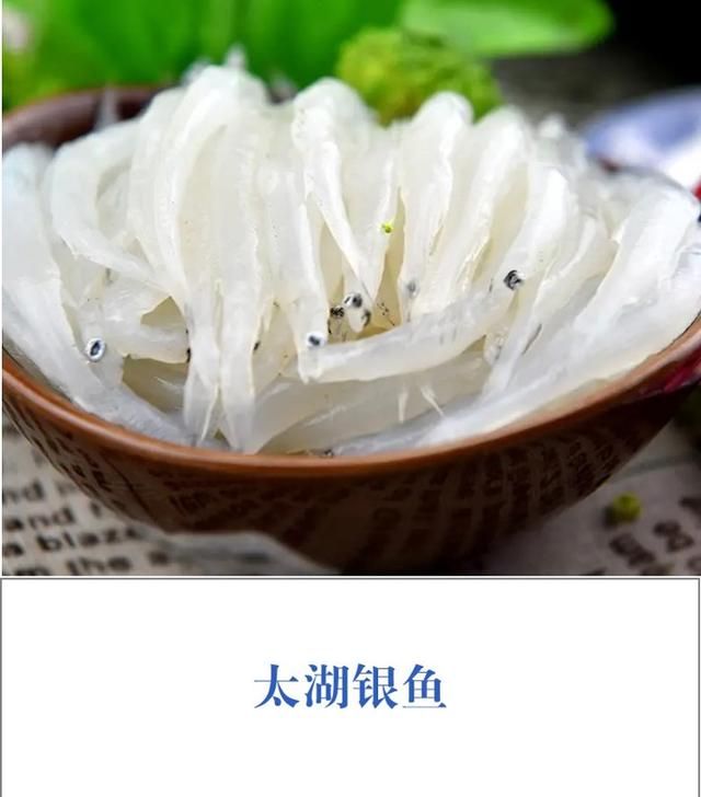 哪几种淡水鱼好吃图5