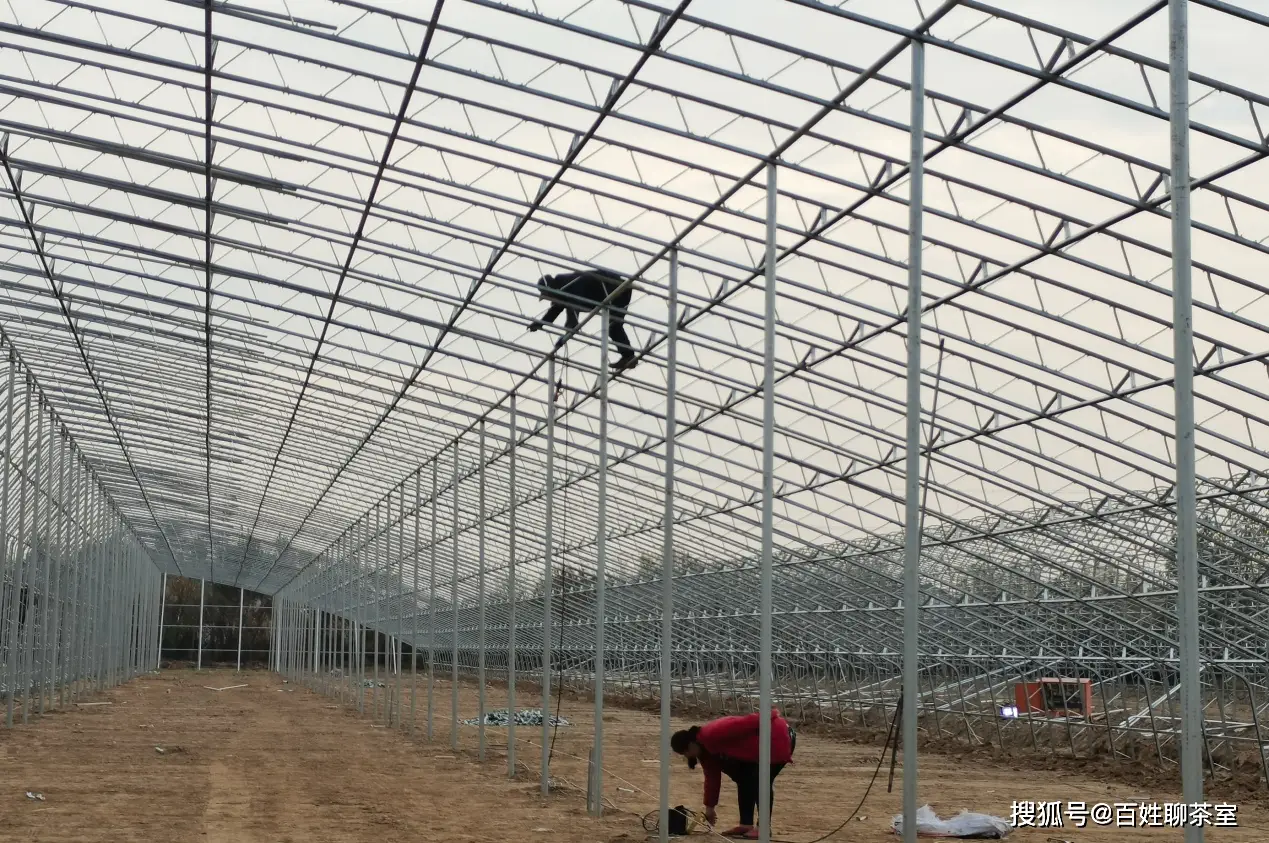 致富养殖寿光项目中标公告_致富养殖寿光项目招标_寿光养殖致富项目