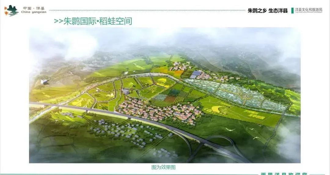 水稻青蛙综合养殖技术_水稻青蛙综合养殖技术_水稻青蛙综合养殖技术