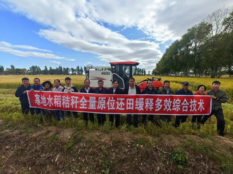 水稻青蛙综合养殖技术_水稻青蛙综合养殖技术_水稻青蛙综合养殖技术