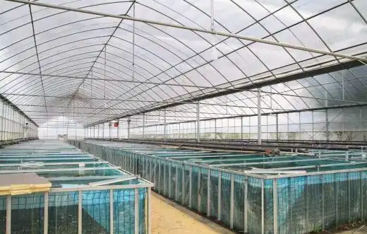 黄蟮养殖技术培训_有土养殖黄鳝技术_黄蟮无土养殖技术