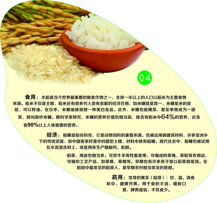 东北致富种植_东北种植什么前景好_东北农村致富项目种植