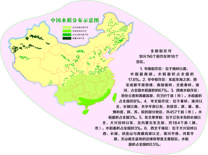 东北种植什么前景好_东北农村致富项目种植_东北致富种植
