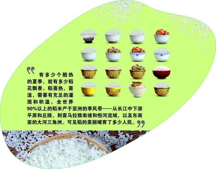 东北种植什么前景好_东北农村致富项目种植_东北致富种植