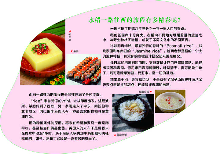 东北种植什么前景好_东北致富种植_东北农村致富项目种植