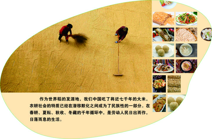 东北致富种植_东北种植什么前景好_东北农村致富项目种植