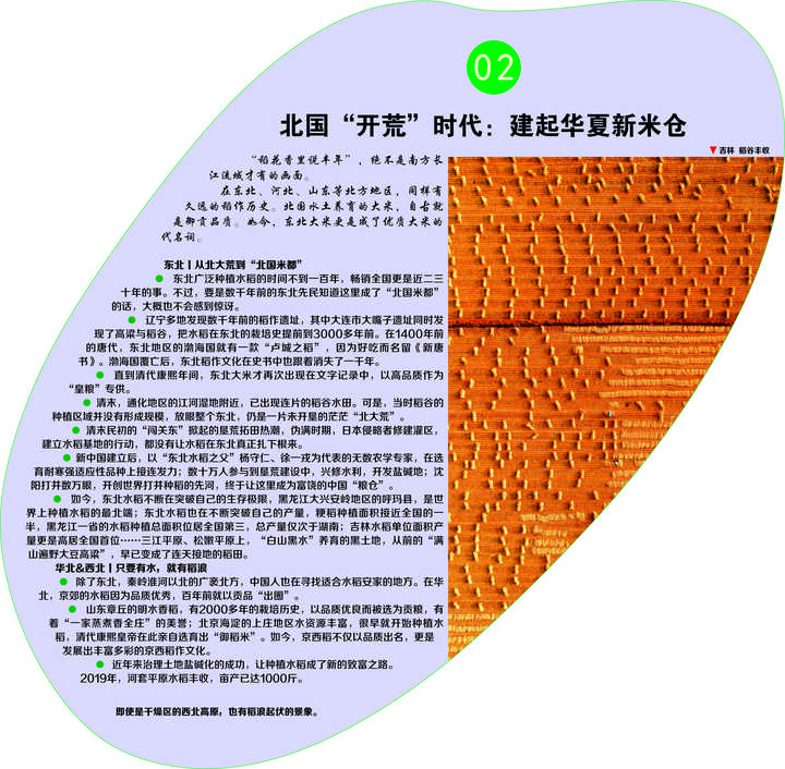 东北种植什么前景好_东北致富种植_东北农村致富项目种植