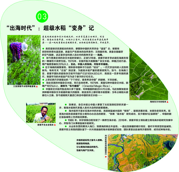东北致富种植_东北种植什么前景好_东北农村致富项目种植