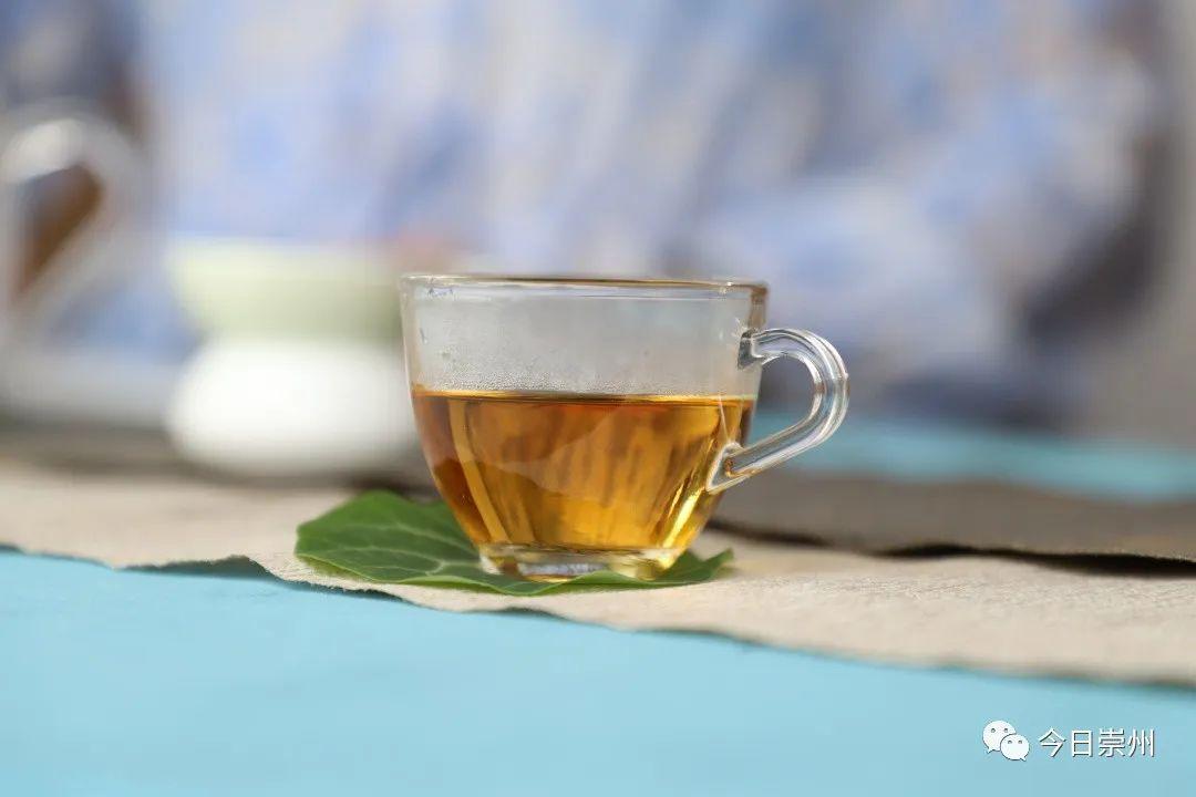 走品牌路 这个村开启种茶“致富经”