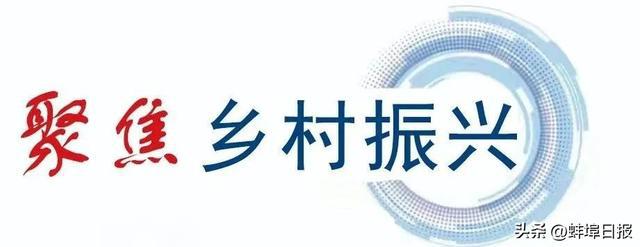 浙江金华鹌鹑养殖合作社_浙江鹌鹑养殖致富_鹌鹑规模养殖致富