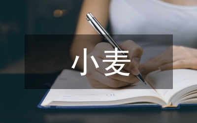 小麦机械化种植技术现场会讲话稿