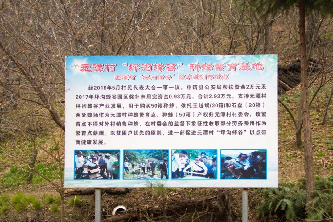 能致富的香菇_致富经泥墙出香菇_致富经香菇种植视频