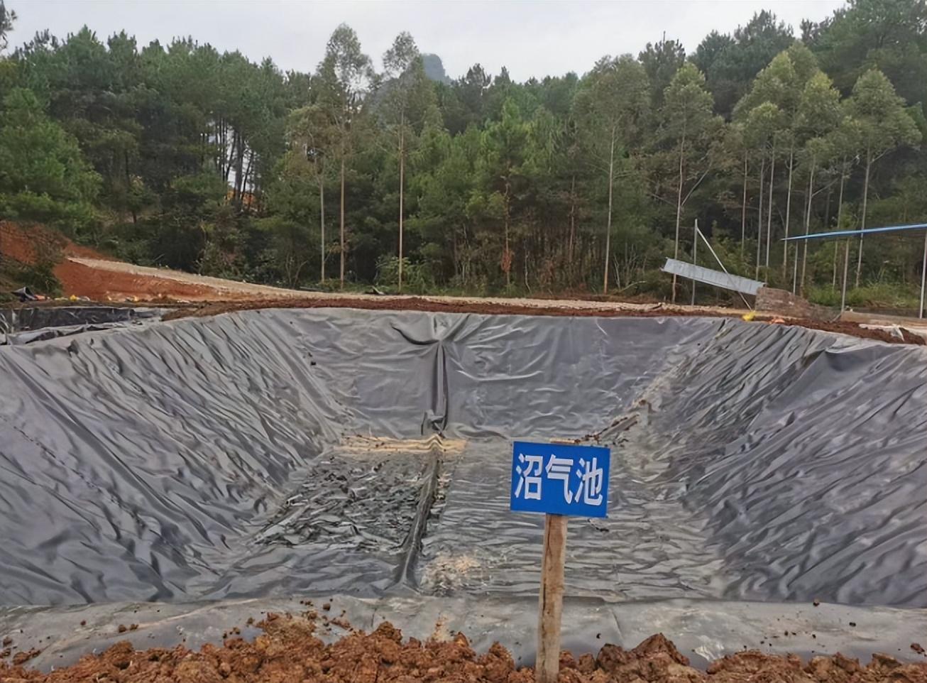 致富养殖肉牛项目怎么样_肉牛养殖致富项目_致富养殖肉牛项目介绍