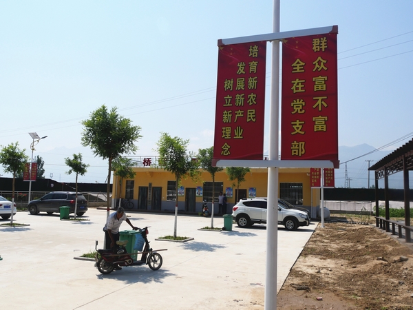 养殖羊致富视频_视频致富养殖羊是真的吗_农村养殖致富养羊视频
