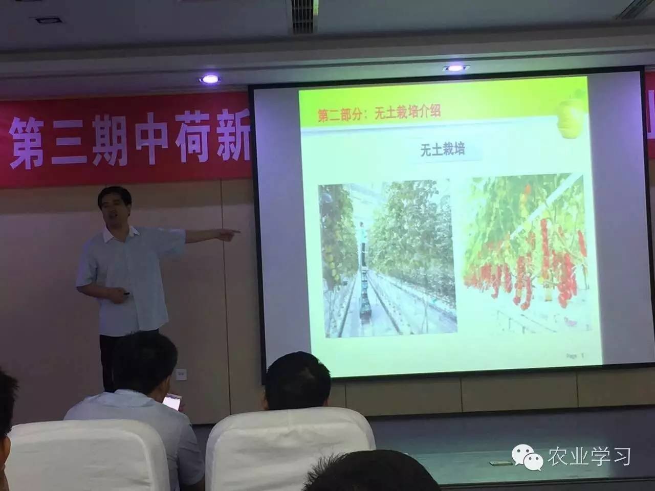 蔬菜种植的视频_无土栽培蔬菜种植技术视频_种植蔬菜视频教程