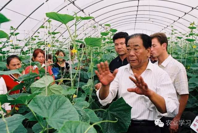 蔬菜种植的视频_种植蔬菜视频教程_无土栽培蔬菜种植技术视频