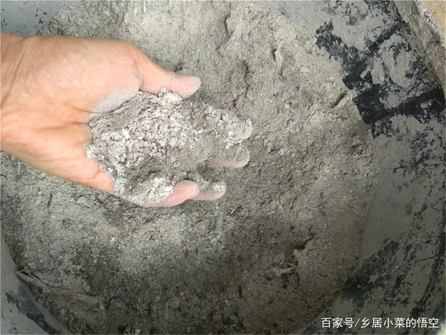 怎样使凉茹高产_凉茹的种植技术_凉茹种植技术